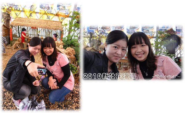 10。11。06~C。N。B四朵花之新社花海節 - 第15張圖 10。11。06~C。N。B四朵花之新社花海節
