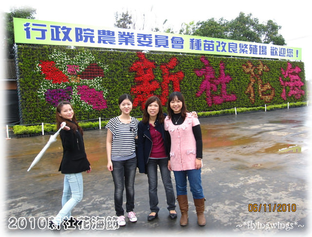 10。11。06~C。N。B四朵花之新社花海節 - 第18張圖 10。11。06~C。N。B四朵花之新社花海節