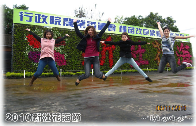 10。11。06~C。N。B四朵花之新社花海節 - 第20張圖 10。11。06~C。N。B四朵花之新社花海節