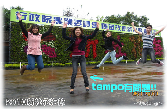 10。11。06~C。N。B四朵花之新社花海節 - 第22張圖 10。11。06~C。N。B四朵花之新社花海節