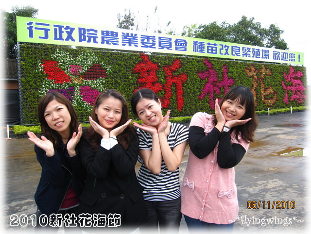 10。11。06~C。N。B四朵花之新社花海節 - 第23張圖 10。11。06~C。N。B四朵花之新社花海節