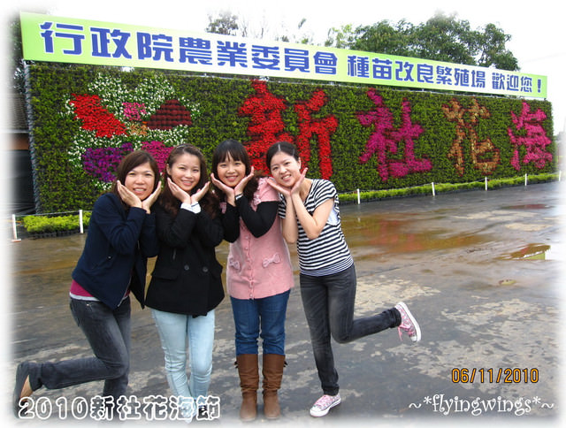 10。11。06~C。N。B四朵花之新社花海節 - 第25張圖 10。11。06~C。N。B四朵花之新社花海節