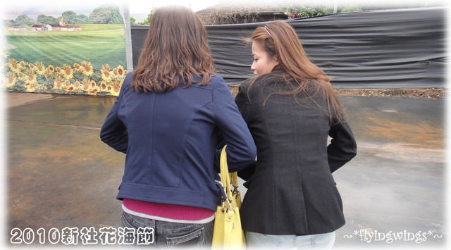 10。11。06~C。N。B四朵花之新社花海節 - 第27張圖 10。11。06~C。N。B四朵花之新社花海節