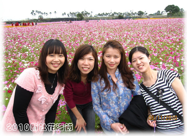 10。11。06~C。N。B四朵花之新社花海節 - 第45張圖 10。11。06~C。N。B四朵花之新社花海節