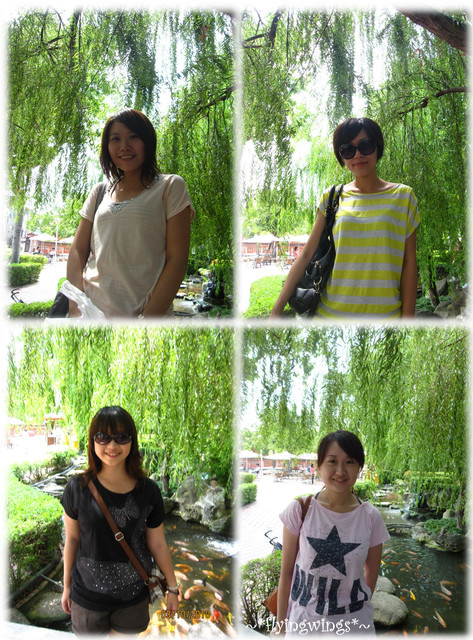 【府城好好吃】Day 2~飯店早餐、義豐冬瓜茶、赤崁樓、松村燻之味、小南普洱茶、大師兄蛋捲 - 第40張圖 【府城好好吃】Day 2~飯店早餐、義豐冬瓜茶、赤崁樓、松村燻之味、小南普洱茶、大師兄蛋捲