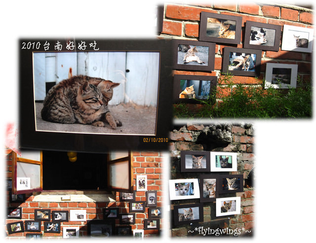 【府城好好吃】Day 1~安平老街漫遊、永泰興蜜餞 - 第21張圖 【府城好好吃】Day 1~安平老街漫遊、永泰興蜜餞