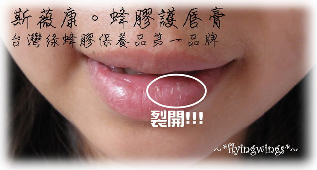 【瘋體驗】全球第一款台灣綠蜂膠保養品～透氣滋潤保健康～蜂膠護唇膏