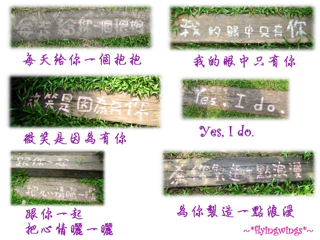 10。08。22~苗栗走透透。但目的地是薰衣草森林明德店