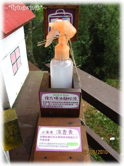 10。08。22~苗栗走透透。但目的地是薰衣草森林明德店