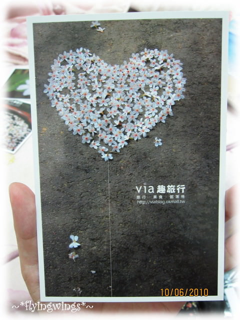 跟著Via一起全台吃透透玩透透 - 第8張圖 跟著Via一起全台吃透透玩透透