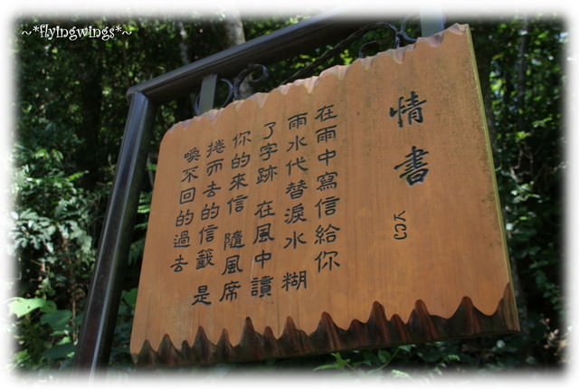 10。05。01~一朵桐花。正夯 - 第25張圖 10。05。01~一朵桐花。正夯