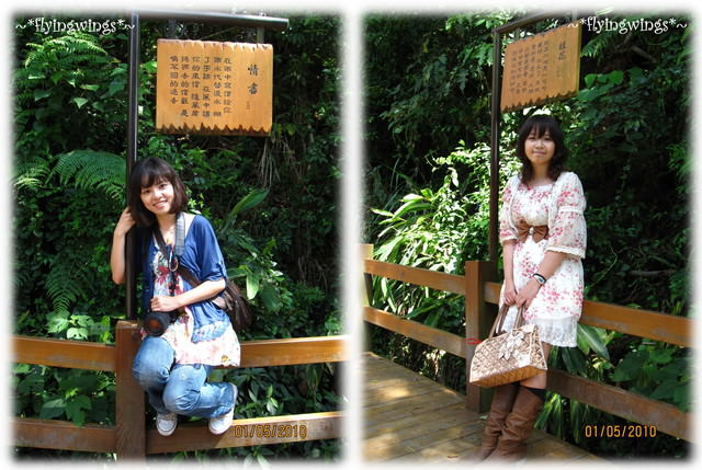 10。05。01~一朵桐花。正夯 - 第26張圖 10。05。01~一朵桐花。正夯