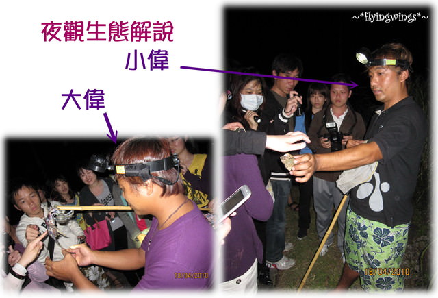 【蘭嶼好好玩】熱帶當魚去~熱帶魚民宿 - 第39張圖 【蘭嶼好好玩】熱帶當魚去~熱帶魚民宿