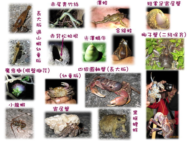 【蘭嶼好好玩】Day 2~我在蘭嶼，天氣晴(下)