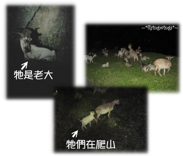【蘭嶼好好玩】Day 2~我在蘭嶼，天氣晴(下)