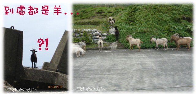 【蘭嶼好好玩】Day 2~我在蘭嶼，天氣晴(上)