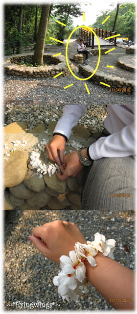 10。04。11~2010挑水古道看桐花