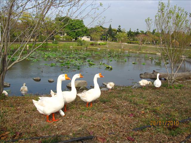 10。01。28~溪州花博公園