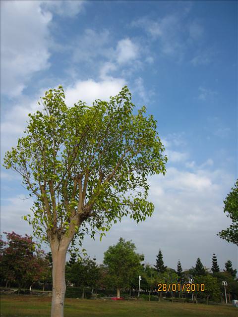 10。01。28~溪州花博公園