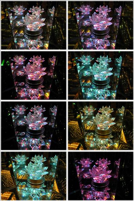 2010。01。24~台灣玻璃館之知性之旅 - 第27張圖 2010。01。24~台灣玻璃館之知性之旅