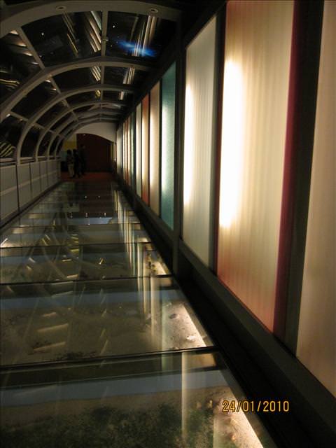 2010。01。24~台灣玻璃館之知性之旅 - 第34張圖 2010。01。24~台灣玻璃館之知性之旅