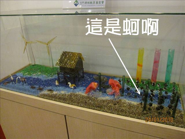 2010。01。24~台灣玻璃館之知性之旅 - 第37張圖 2010。01。24~台灣玻璃館之知性之旅