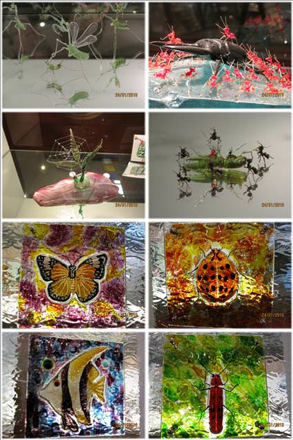 2010。01。24~台灣玻璃館之知性之旅 - 第41張圖 2010。01。24~台灣玻璃館之知性之旅