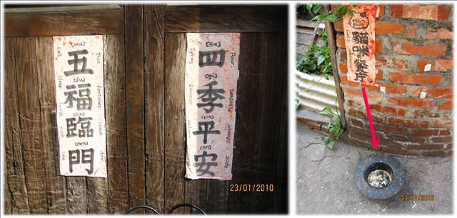 10。01。23~台南安平之狗狗大暴走 - 第22張圖 10。01。23~台南安平之狗狗大暴走
