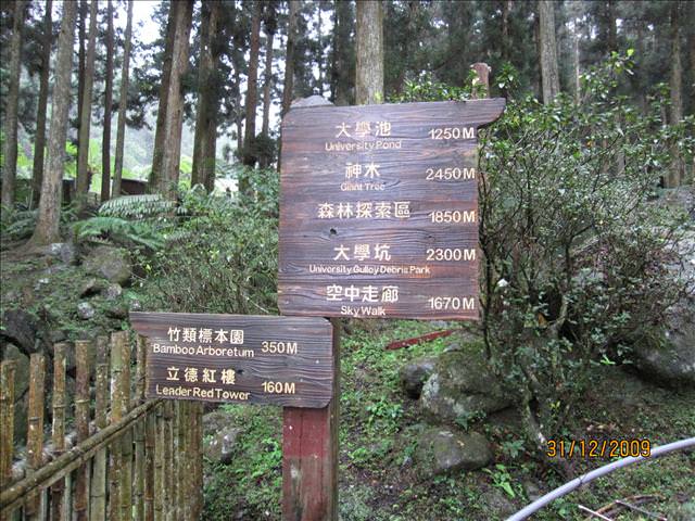 WINTER~中台灣之旅~DAY 4~溪頭(下)、鹿港吃吃吃 - 第7張圖 WINTER~中台灣之旅~DAY 4~溪頭(下)、鹿港吃吃吃