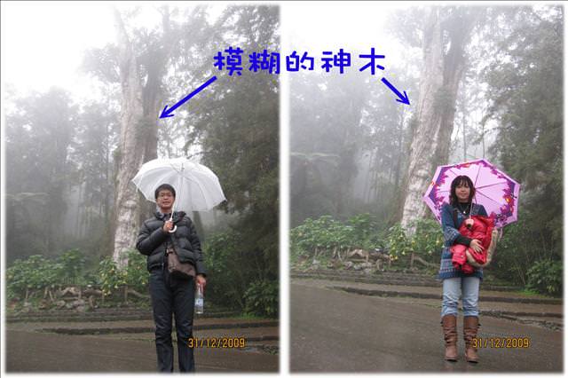 WINTER~中台灣之旅~DAY 4~溪頭(下)、鹿港吃吃吃 - 第13張圖 WINTER~中台灣之旅~DAY 4~溪頭(下)、鹿港吃吃吃