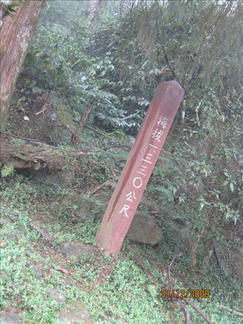 WINTER~中台灣之旅~DAY 4~溪頭(下)、鹿港吃吃吃 - 第14張圖 WINTER~中台灣之旅~DAY 4~溪頭(下)、鹿港吃吃吃