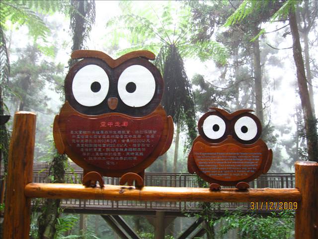 WINTER~中台灣之旅~DAY 4~溪頭(下)、鹿港吃吃吃 - 第16張圖 WINTER~中台灣之旅~DAY 4~溪頭(下)、鹿港吃吃吃