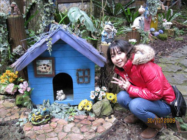 WINTER~中台灣之旅~DAY 3~溪頭(上) - 第9張圖 WINTER~中台灣之旅~DAY 3~溪頭(上)