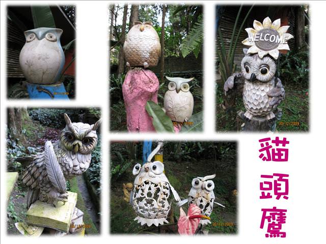 WINTER~中台灣之旅~DAY 3~溪頭(上) - 第10張圖 WINTER~中台灣之旅~DAY 3~溪頭(上)