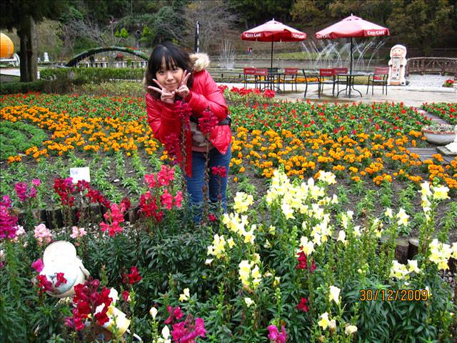 WINTER~中台灣之旅~DAY 3~清境小瑞士花園 - 第17張圖 WINTER~中台灣之旅~DAY 3~清境小瑞士花園