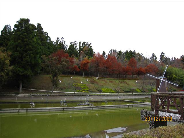 WINTER~中台灣之旅~DAY 3~清境小瑞士花園 - 第19張圖 WINTER~中台灣之旅~DAY 3~清境小瑞士花園