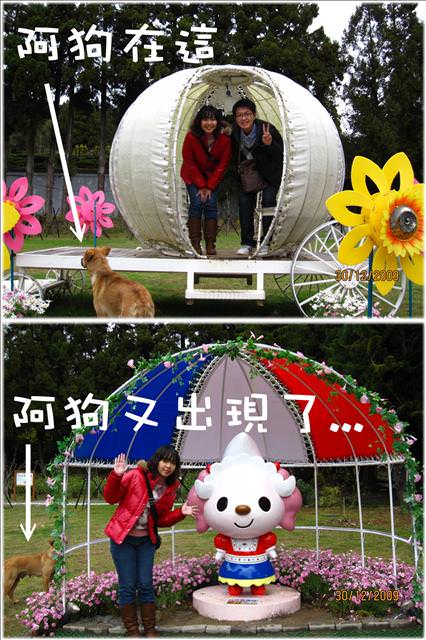 WINTER~中台灣之旅~DAY 3~清境小瑞士花園 - 第30張圖 WINTER~中台灣之旅~DAY 3~清境小瑞士花園