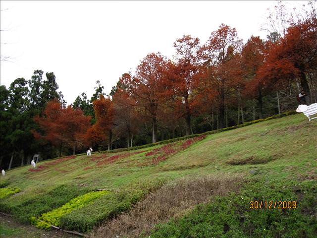 WINTER~中台灣之旅~DAY 3~清境小瑞士花園 - 第36張圖 WINTER~中台灣之旅~DAY 3~清境小瑞士花園