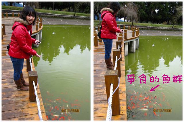 WINTER~中台灣之旅~DAY 3~清境小瑞士花園 - 第38張圖 WINTER~中台灣之旅~DAY 3~清境小瑞士花園