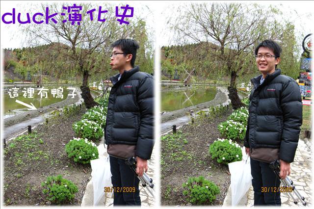 WINTER~中台灣之旅~DAY 3~清境小瑞士花園 - 第40張圖 WINTER~中台灣之旅~DAY 3~清境小瑞士花園