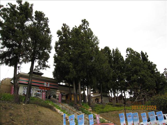 WINTER~中台灣之旅~DAY 3~清境小瑞士花園 - 第46張圖 WINTER~中台灣之旅~DAY 3~清境小瑞士花園