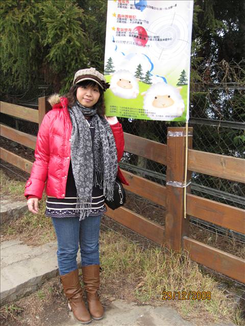 WINTER~中台灣之旅~DAY 2~清境清靜 - 第35張圖 WINTER~中台灣之旅~DAY 2~清境清靜