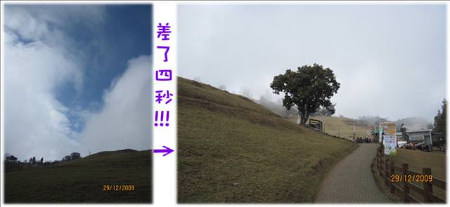 WINTER~中台灣之旅~DAY 2~清境清靜 - 第37張圖 WINTER~中台灣之旅~DAY 2~清境清靜