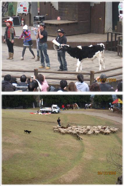 WINTER~中台灣之旅~DAY 2~清境清靜 - 第39張圖 WINTER~中台灣之旅~DAY 2~清境清靜