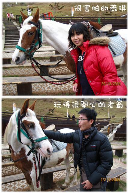 WINTER~中台灣之旅~DAY 2~清境清靜 - 第42張圖 WINTER~中台灣之旅~DAY 2~清境清靜