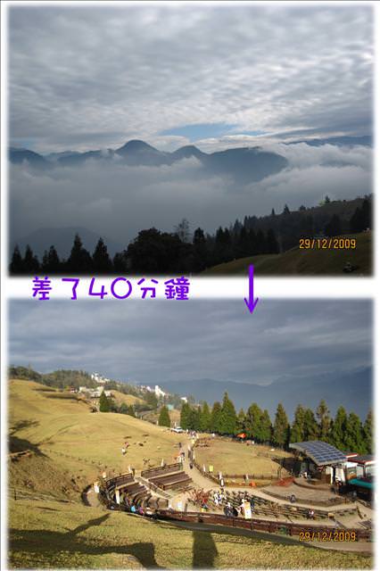 WINTER~中台灣之旅~DAY 2~清境清靜 - 第46張圖 WINTER~中台灣之旅~DAY 2~清境清靜