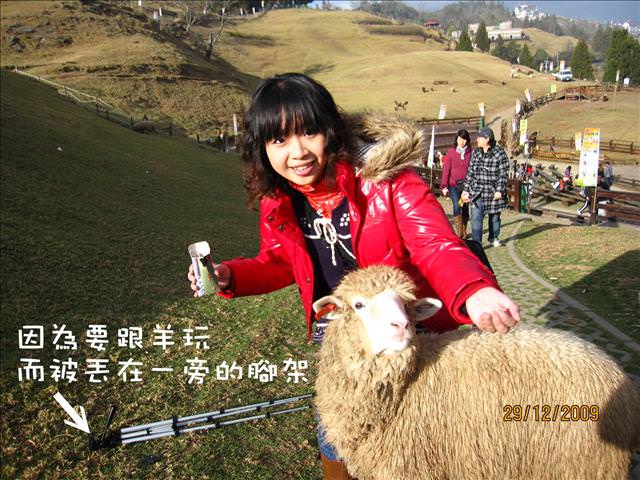 WINTER~中台灣之旅~DAY 2~清境清靜 - 第48張圖 WINTER~中台灣之旅~DAY 2~清境清靜