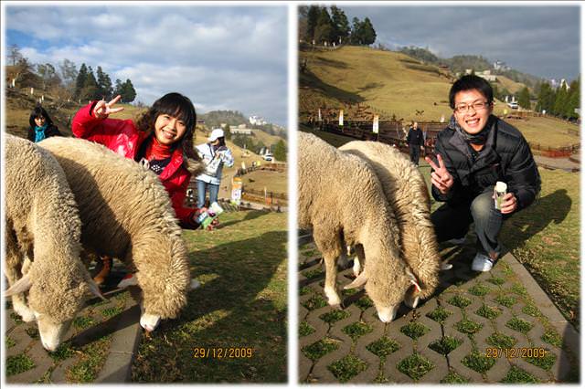 WINTER~中台灣之旅~DAY 2~清境清靜 - 第51張圖 WINTER~中台灣之旅~DAY 2~清境清靜
