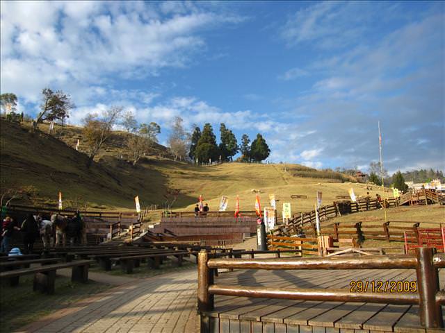 WINTER~中台灣之旅~DAY 2~清境清靜 - 第55張圖 WINTER~中台灣之旅~DAY 2~清境清靜