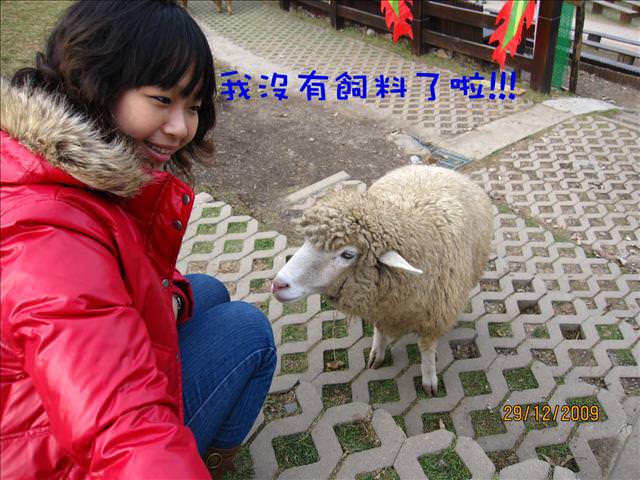 WINTER~中台灣之旅~DAY 2~清境清靜 - 第60張圖 WINTER~中台灣之旅~DAY 2~清境清靜